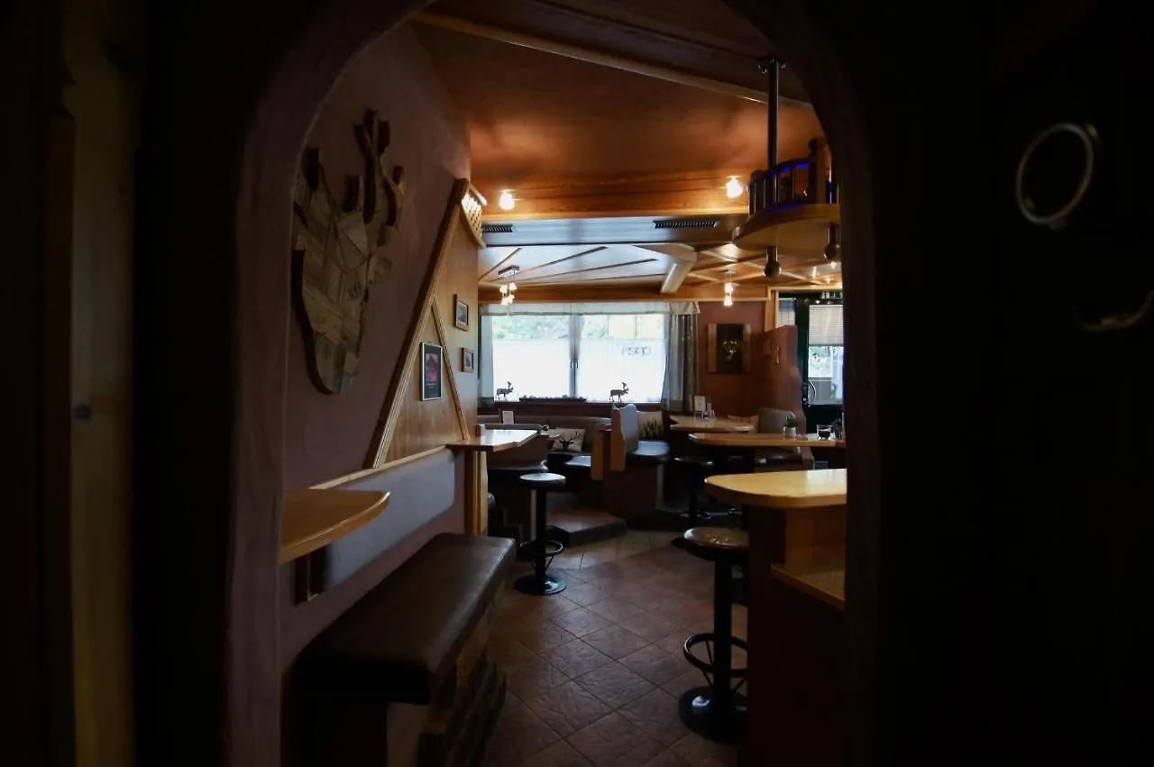 Bed and Breakfast Haus Eder Steiner Saalbach